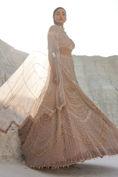 rustic amber ethwave lehenga with blouse dupatta