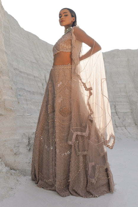 rustic amber ethwave lehenga with blouse dupatta