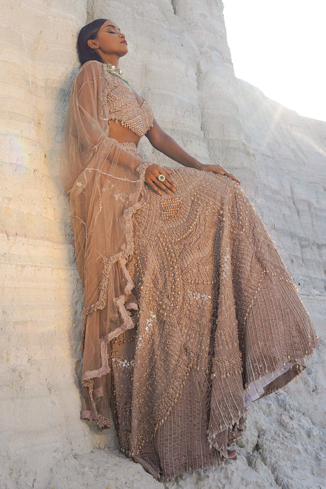 rustic amber ethwave lehenga with blouse dupatta