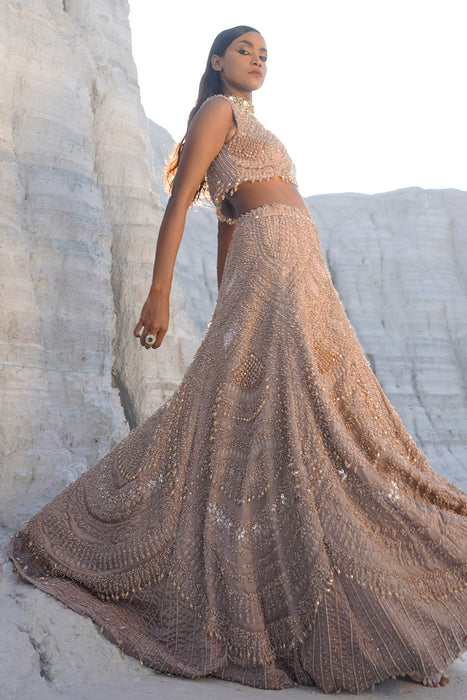 rustic amber ethwave lehenga with blouse dupatta