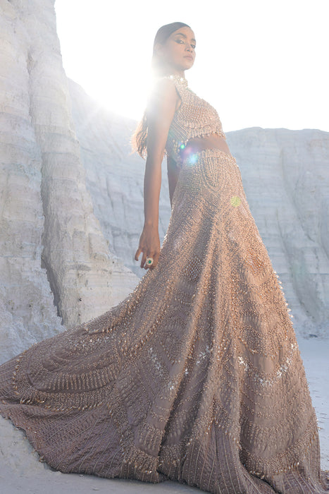 rustic amber ethwave lehenga with blouse dupatta