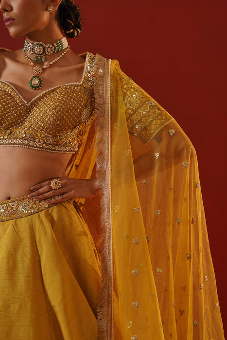 Mustard dupian silk lehenga choli set