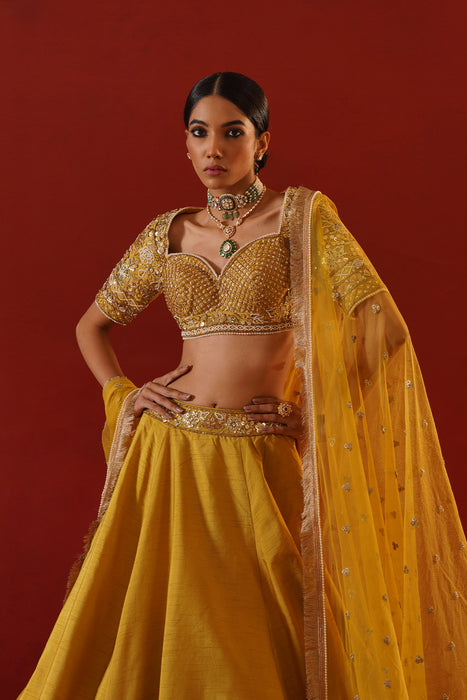 Mustard dupian silk lehenga choli set