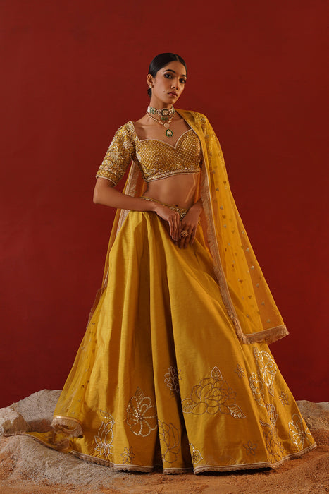 Mustard dupian silk lehenga choli set