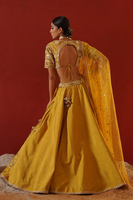 Mustard dupian silk lehenga choli set