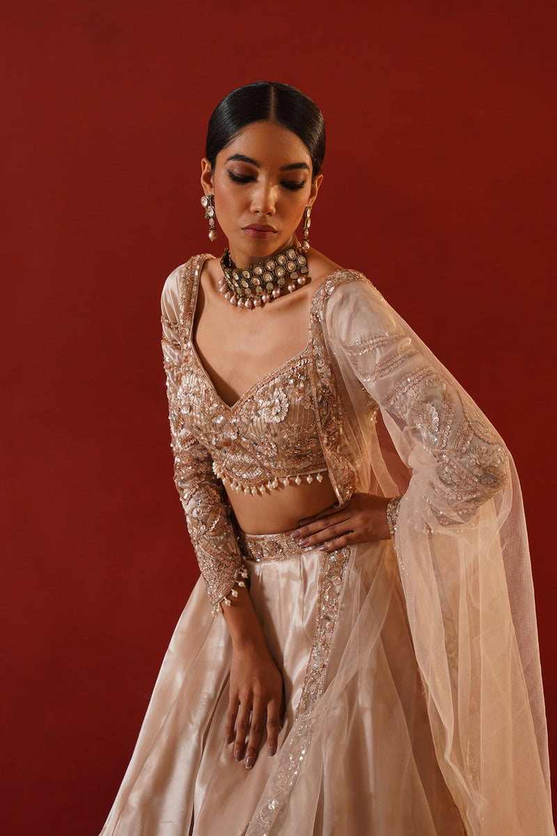 Beige tisue organza lehenga choli set