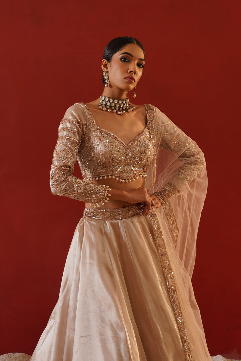 Beige tisue organza lehenga choli set