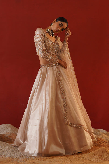 Beige tisue organza lehenga choli set