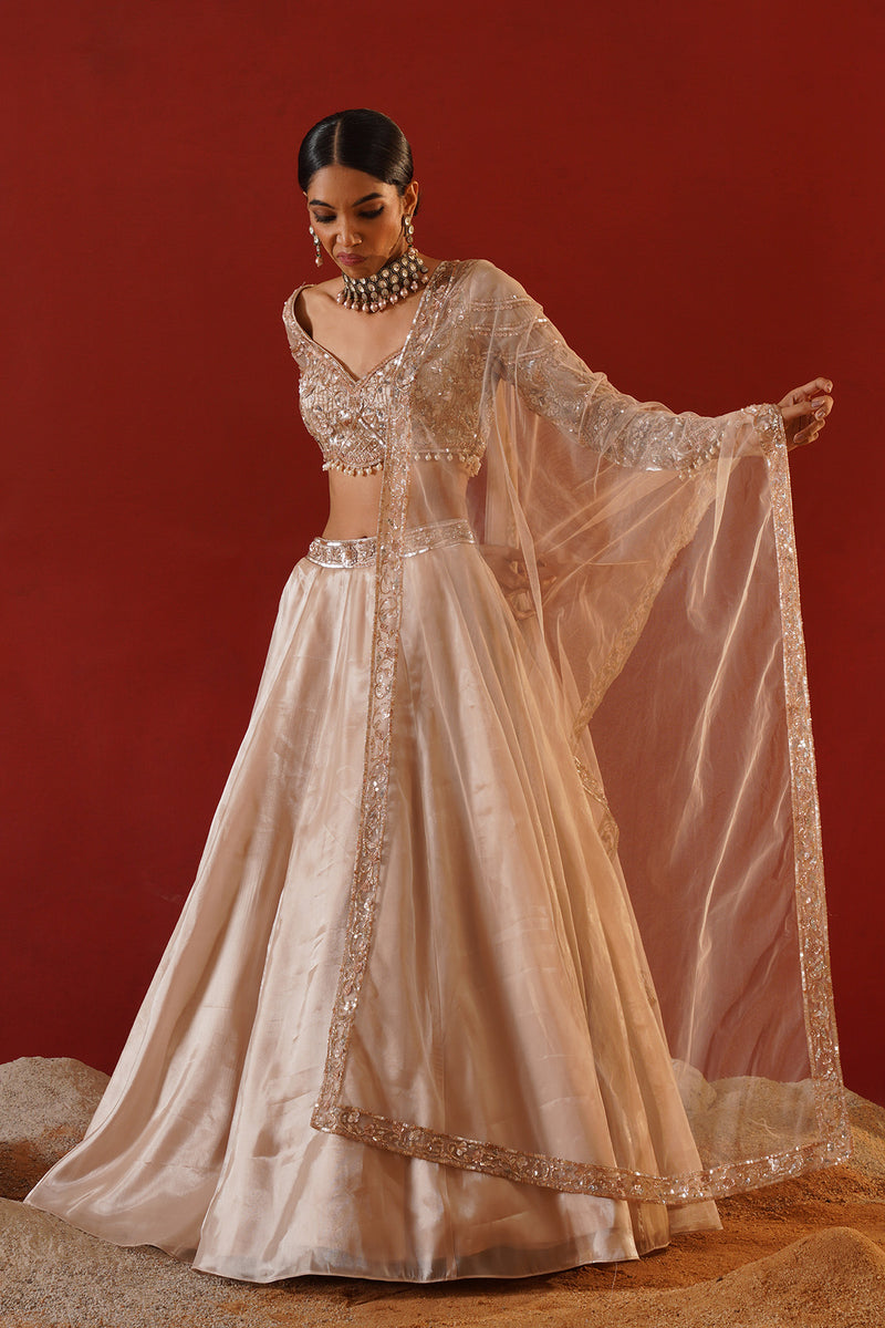 Beige tisue organza lehenga choli set