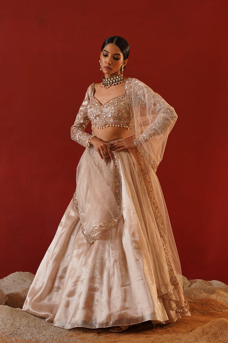 Beige tisue organza lehenga choli set