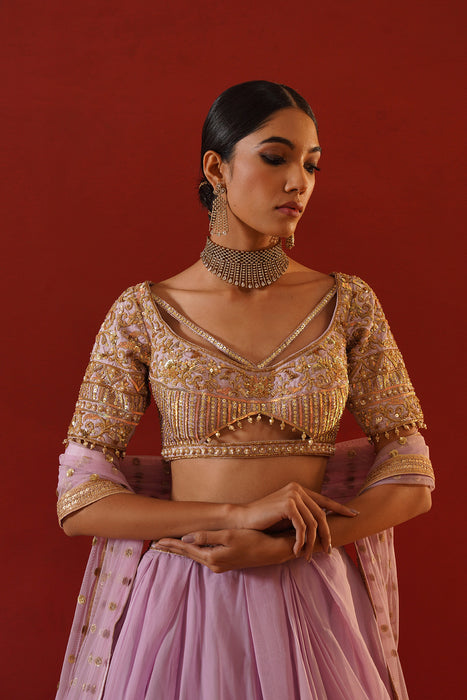 Beige tisue organza lehenga choli set