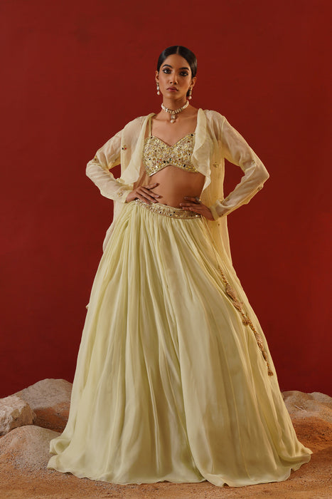 Mint green organza lehenga choli set