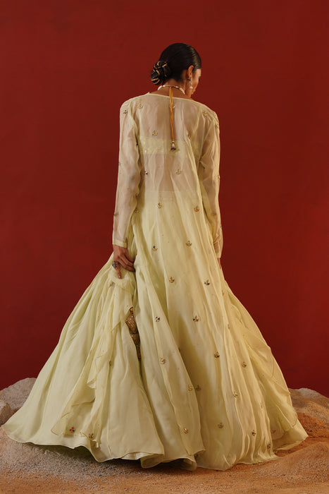 Mint green organza lehenga choli set