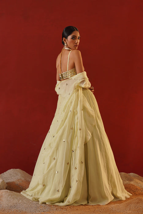 Mint green organza lehenga choli set