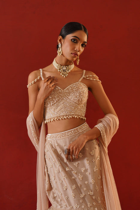 Beige net lehenga choli set