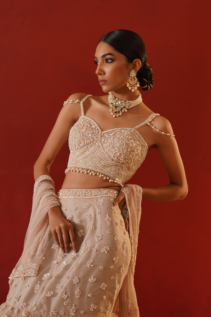 Beige net lehenga choli set