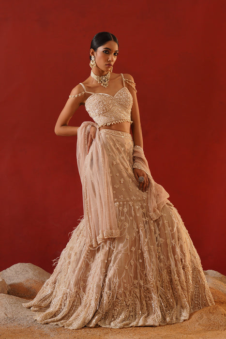 Beige net lehenga choli set