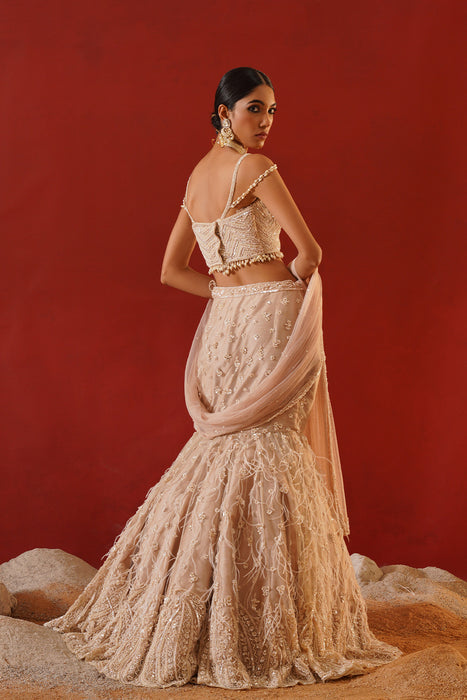 Beige net lehenga choli set