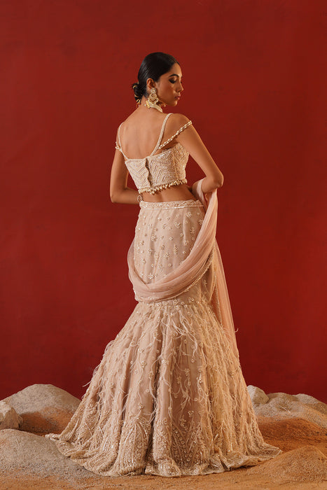 Beige net lehenga choli set