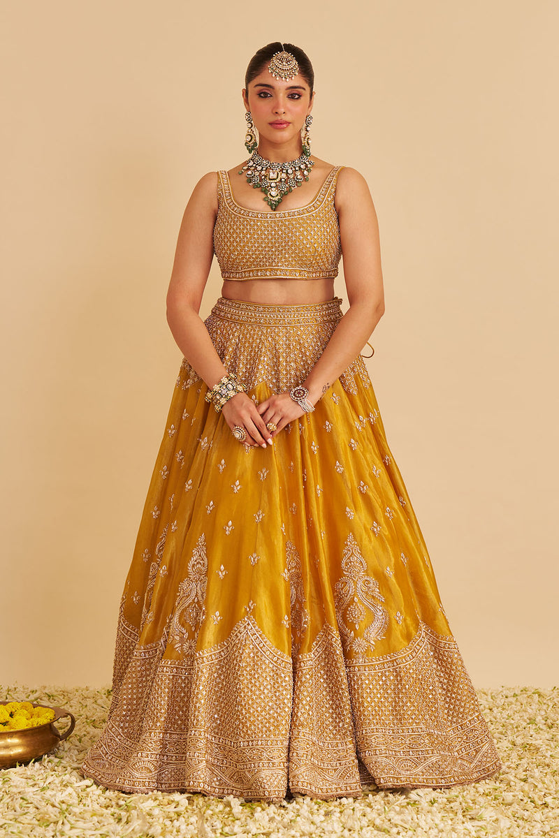 Aashina  - Dabka Zardozi Embroidered Pure Tissue Mustard Lehenga Set