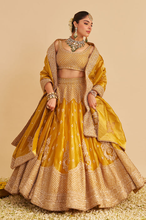 Aashina  - Dabka Zardozi Embroidered Pure Tissue Mustard Lehenga Set