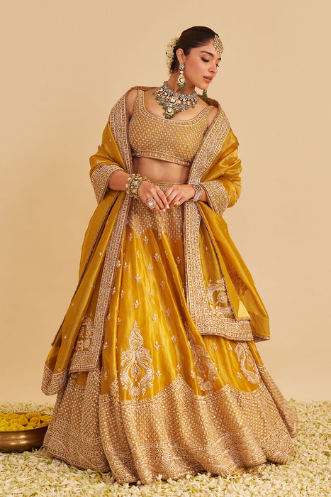 Aashina  - Dabka Zardozi Embroidered Pure Tissue Mustard Lehenga Set