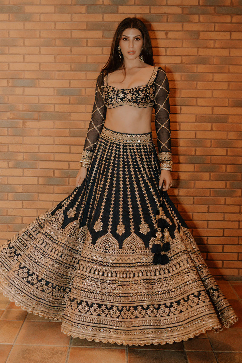 Elnaaz Lehenga Set