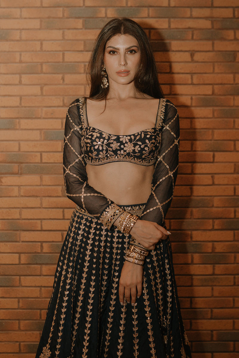 Elnaaz Lehenga Set