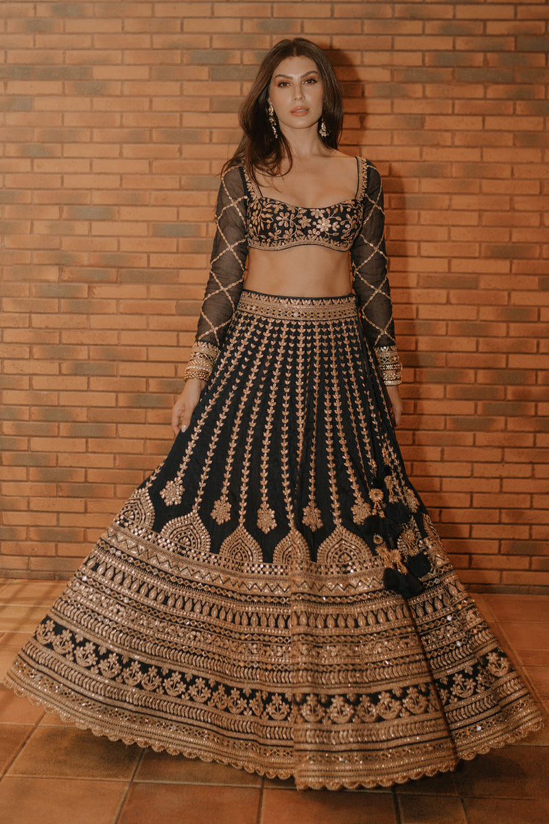 Elnaaz Lehenga Set