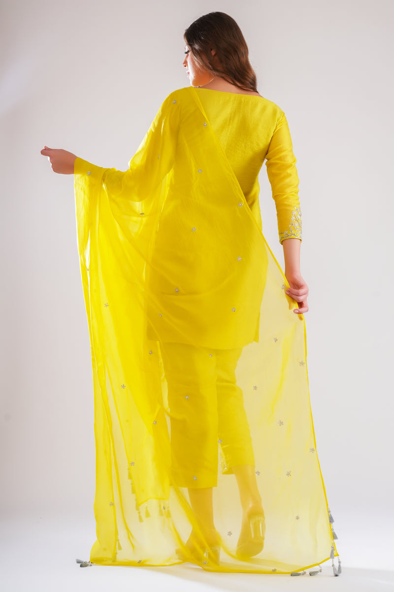 Aabroo Suit Set