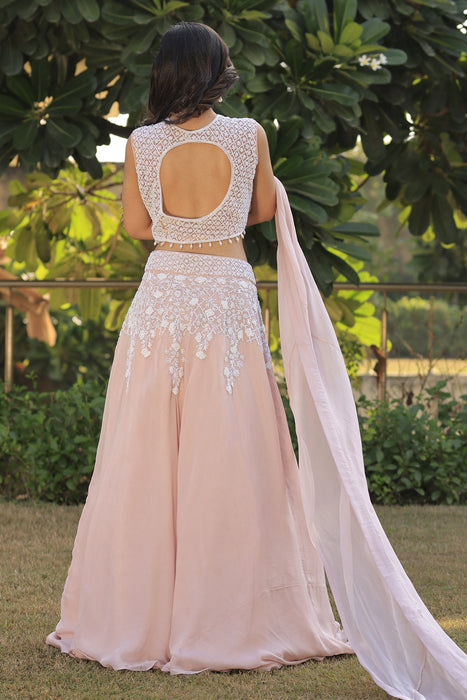 Persian Pink Embroidered Lehenga Set