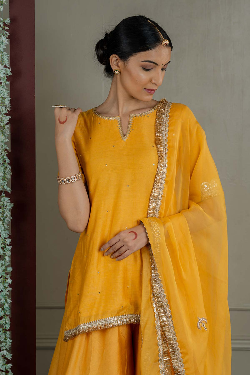 Hoor Sharara Set With Embroidered Dupatta (Set Of 3)