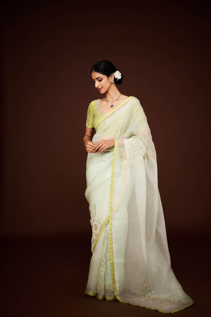 Nilaa Organza Saree and Blouse Set