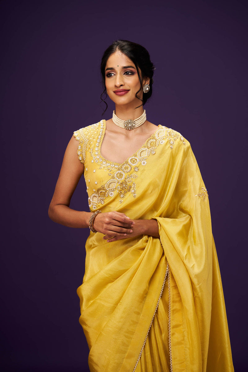 Sloka Embroidery Only Saree
