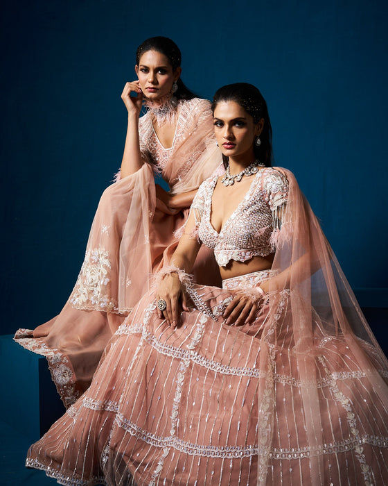 Misha lehenga set with blouse and dupatta - Mocha Beige