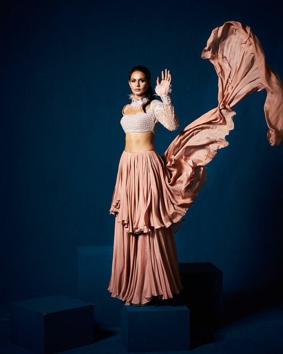 Norali drape saree with blouse- Mocha Beige