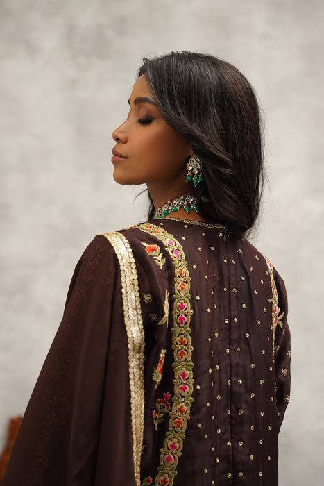 Brown embroidered suit set