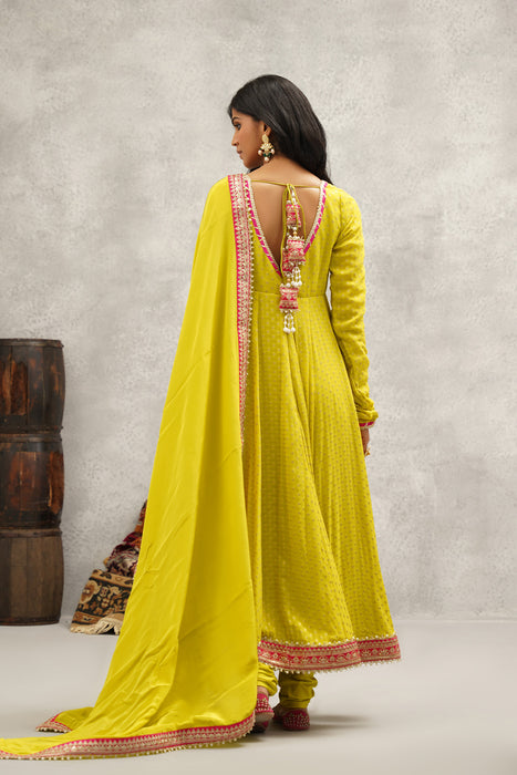 Lime Green Banarsi Georgette Anarkali Set