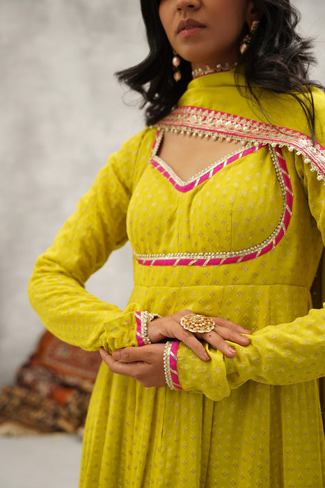 Lime Green Banarsi Georgette Anarkali Set