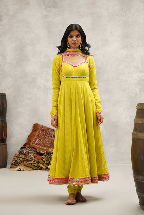 Lime Green Banarsi Georgette Anarkali Set