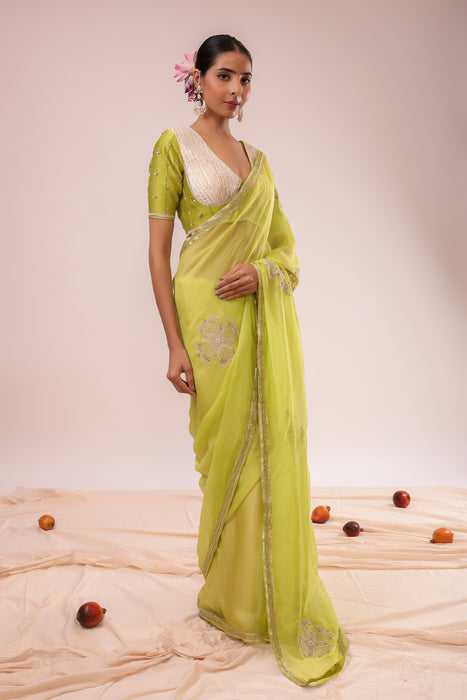 Light Green Embroidered Saree Set with Stitched Blouse