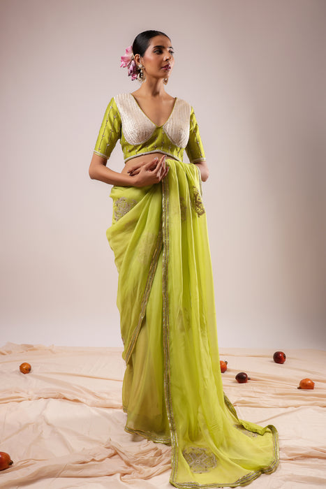 Light Green Embroidered Saree Set with Stitched Blouse
