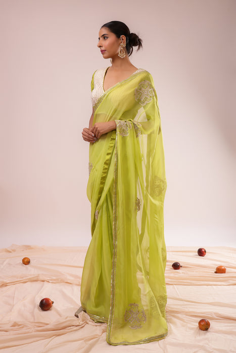 Light Green Embroidered Saree Set with Stitched Blouse