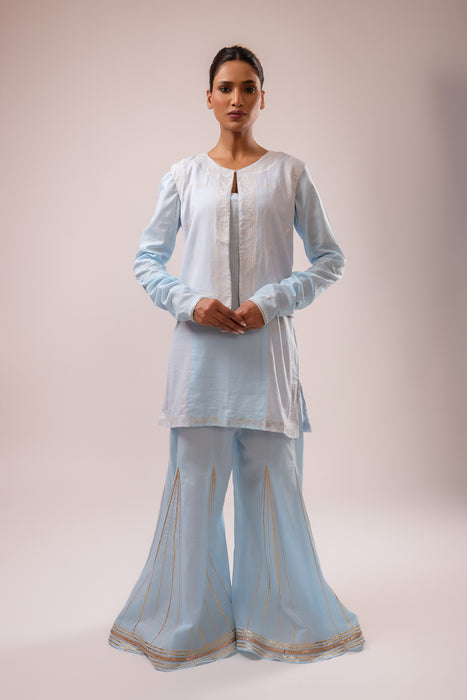 Sharara Embroidered Jacket Set