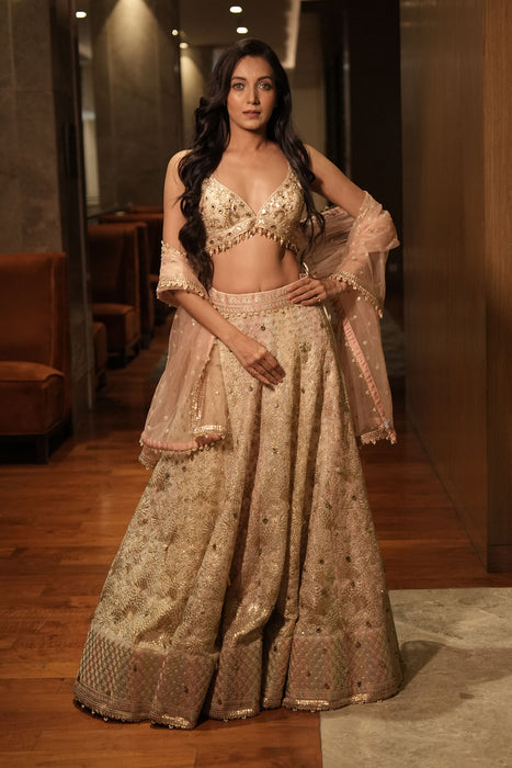 Roma Lehenga Set