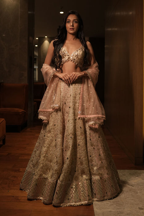 Roma Lehenga Set