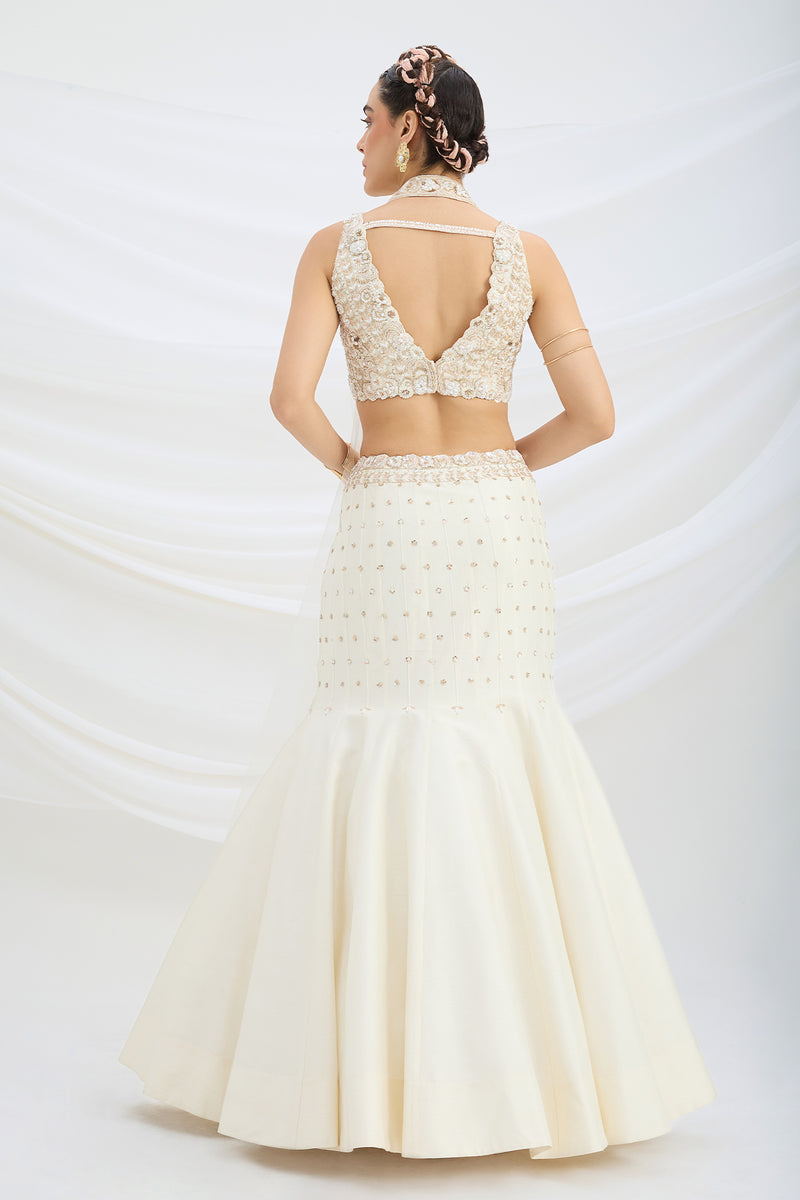 BEIGE EMBROIDERED FISHCUT LEHENGA WITH BLOUSE AND DUPATTA