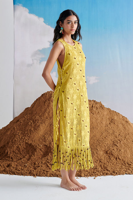 KHATTA MEETHA BER  OVERLAY