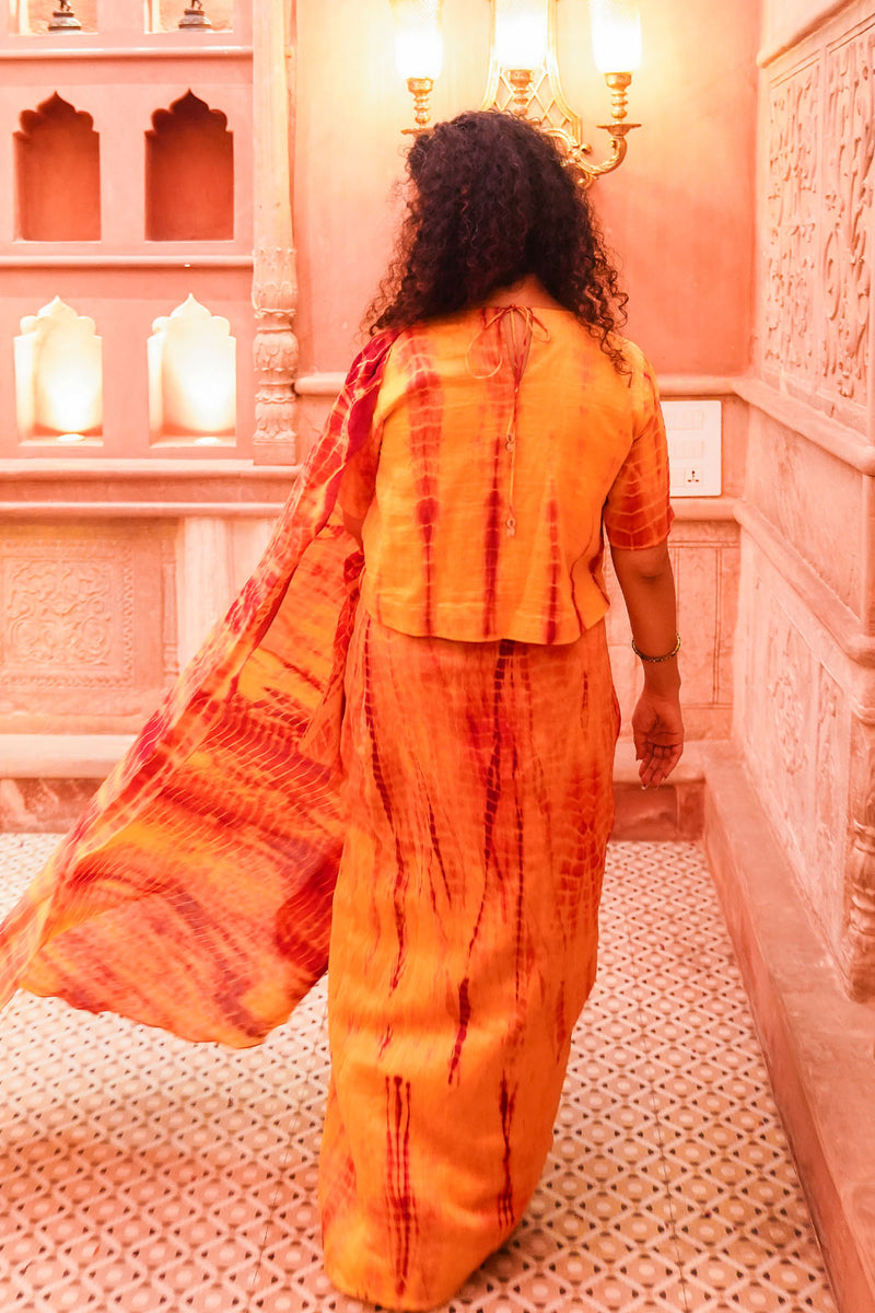Darpan Drape Sari