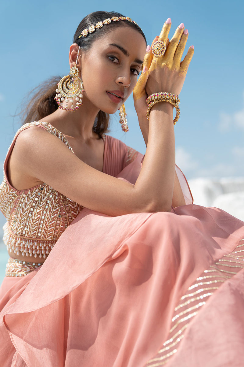 Gota Blush Ruffled Saree Set